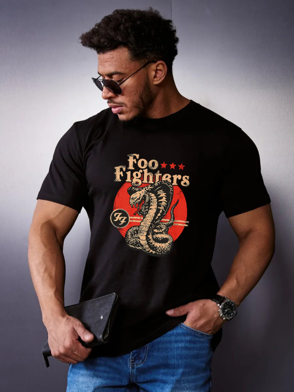 Foo Fighters - Image 6