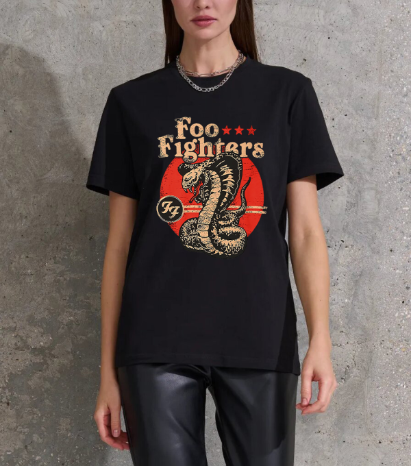 Foo Fighters - Image 2