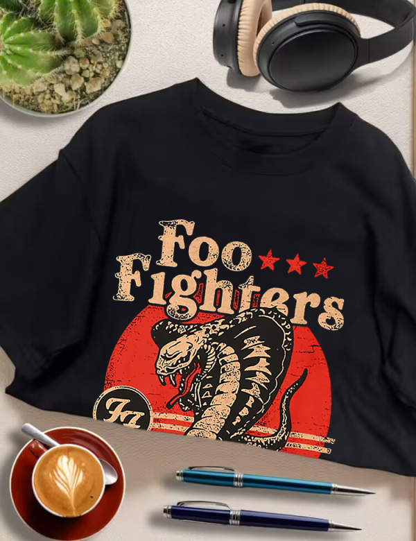 Foo Fighters - Image 5
