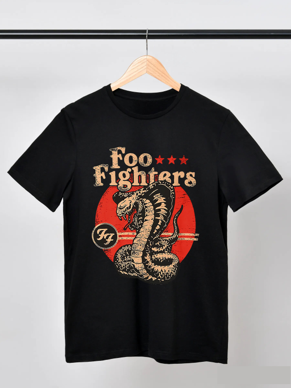 Foo Fighters - Image 4